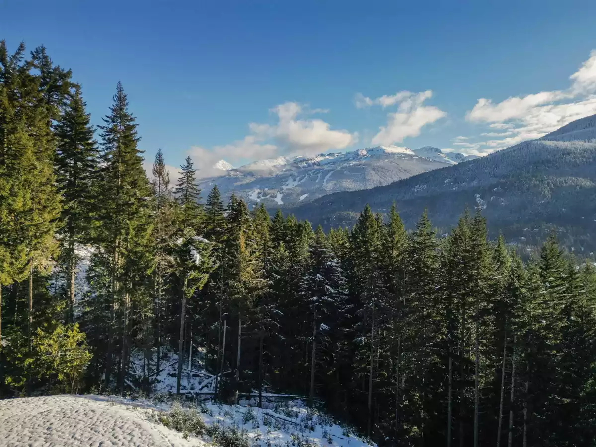 Exterior Rear Photo of 5408 Stonebridge Drive, Whistler, BC