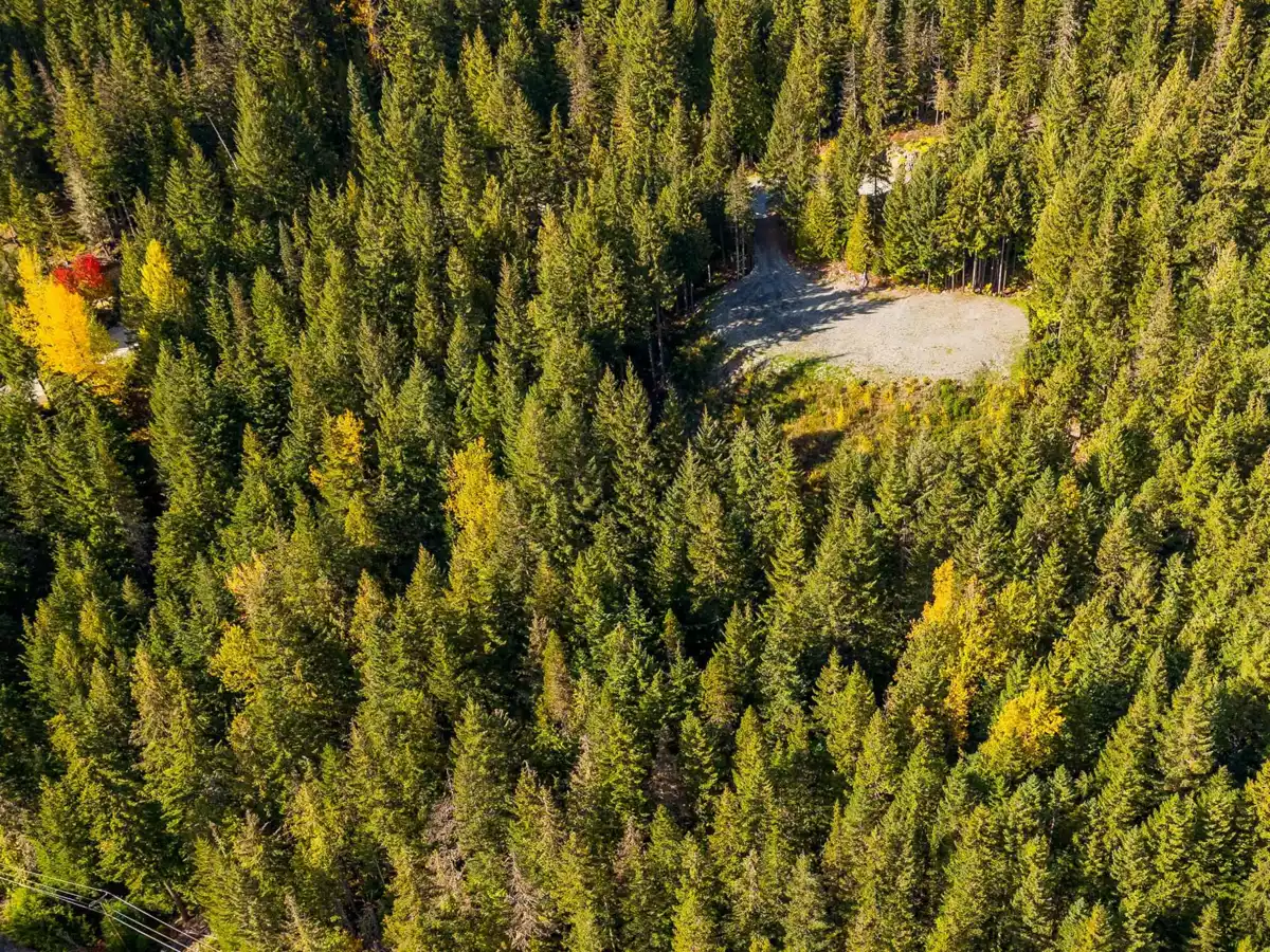 Hallway Photo of 5408 Stonebridge Drive, Whistler, BC