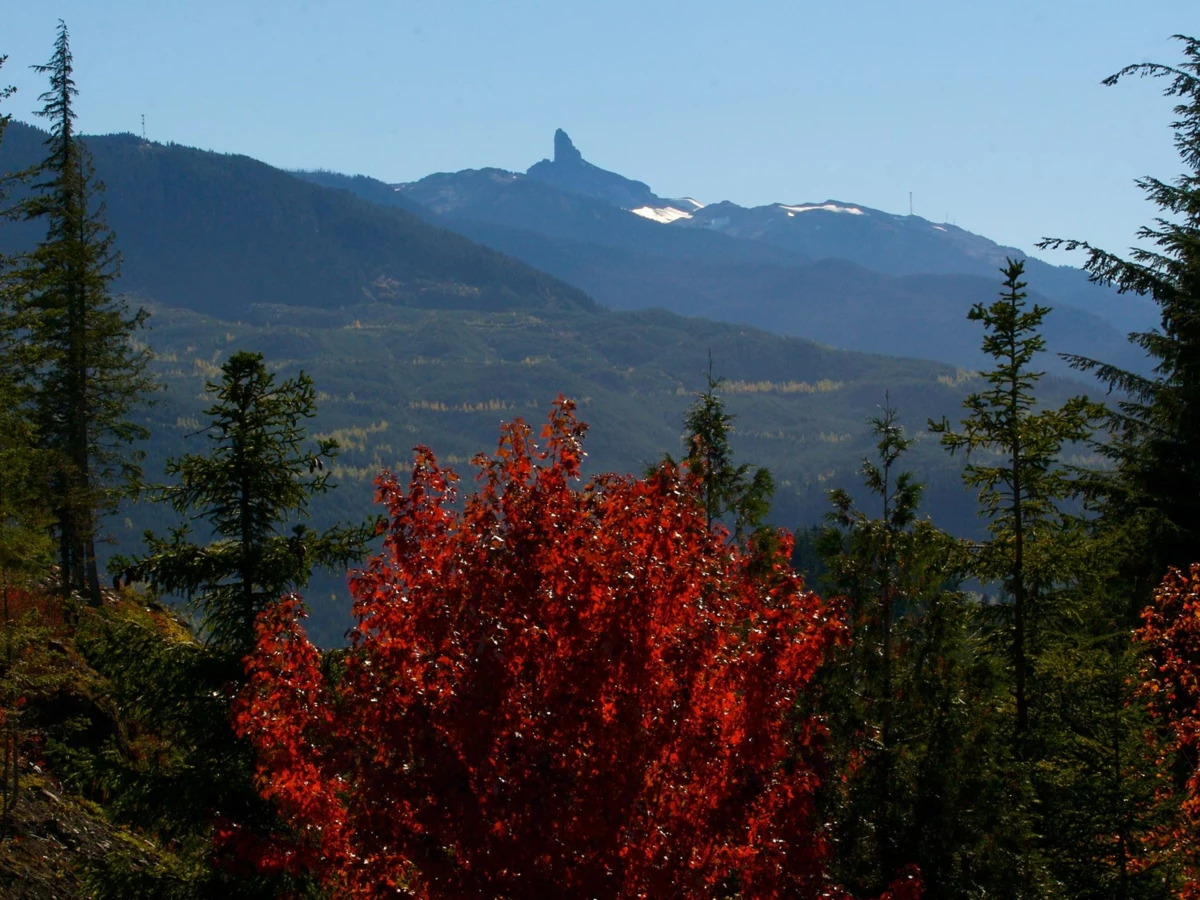 Powder Room Photo of 5408 Stonebridge Drive, Whistler, BC