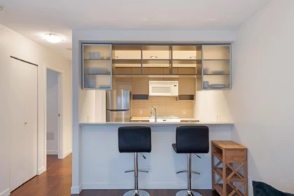 307 928 Beatty Street, Vancouver, BC
