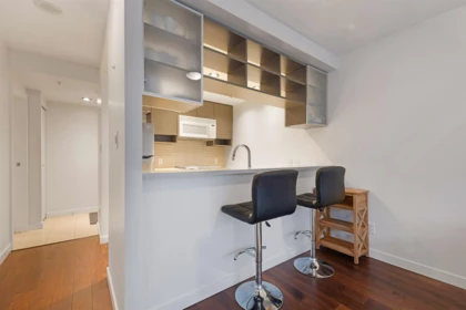 307 928 Beatty Street, Vancouver, BC