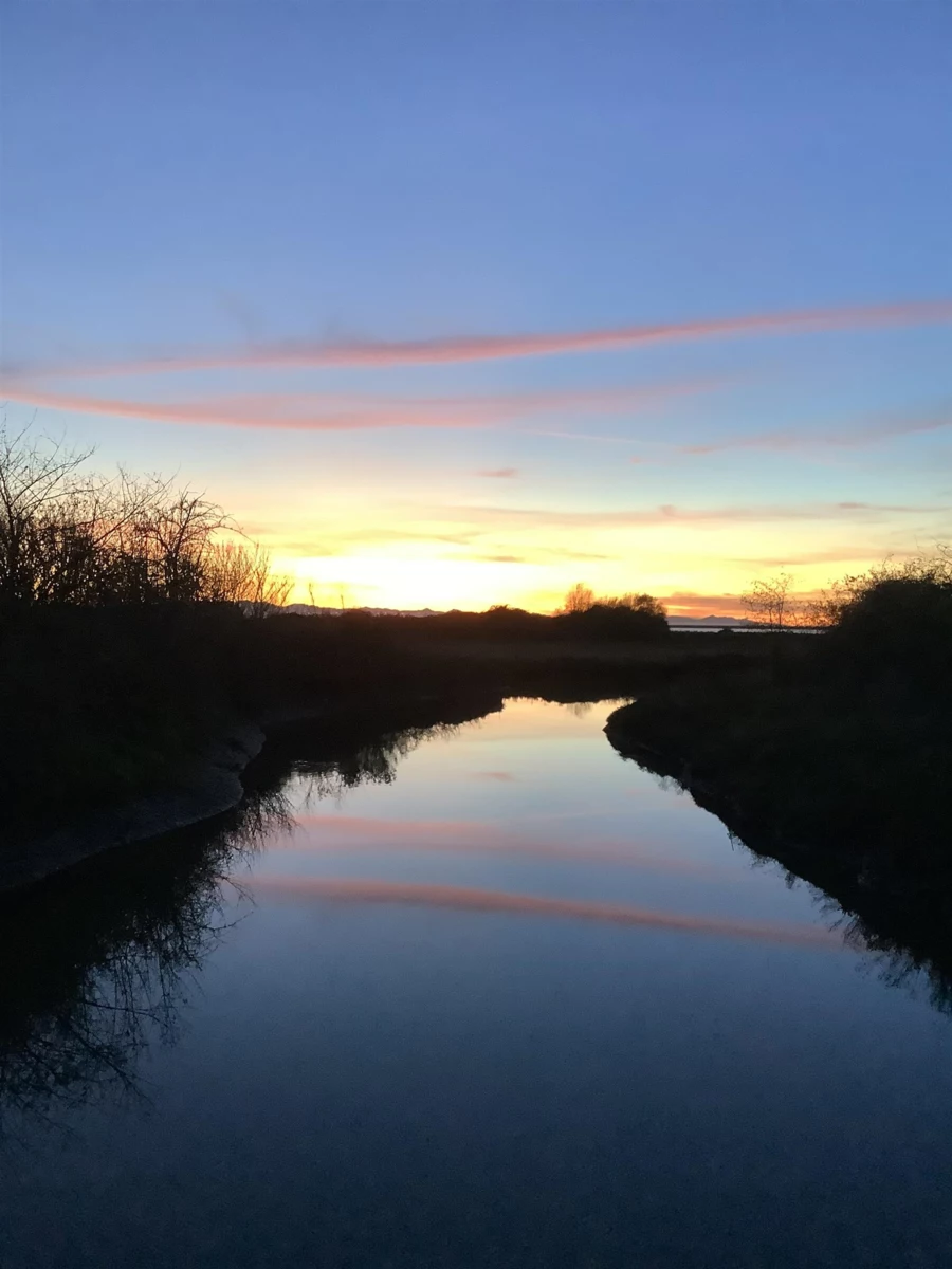 Fitness Center Photo Near 319 1792 Starling Drive, Tsawwassen, BC