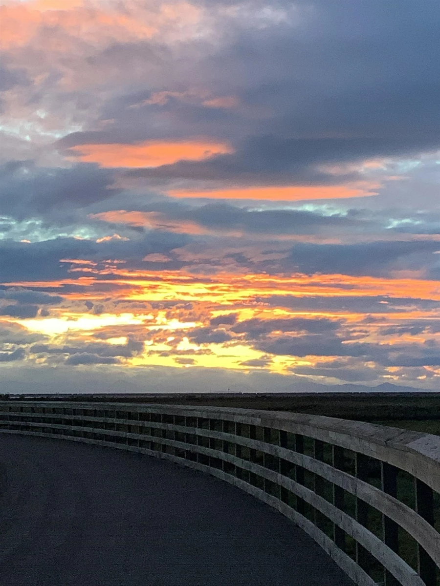 Playground / Recreational Area Near 319 1792 Starling Drive, Tsawwassen, BC