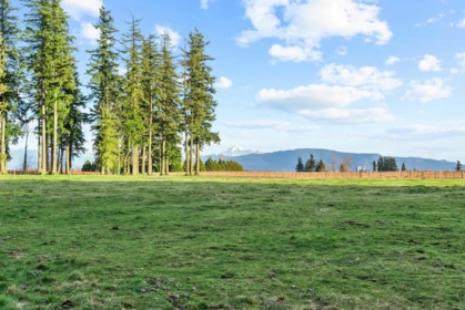 29380 Huntingdon Road, Abbotsford, BC