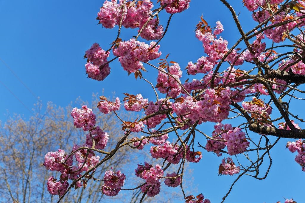 Mudroom Photo of 305 2330 Maple Street, Vancouver, BC