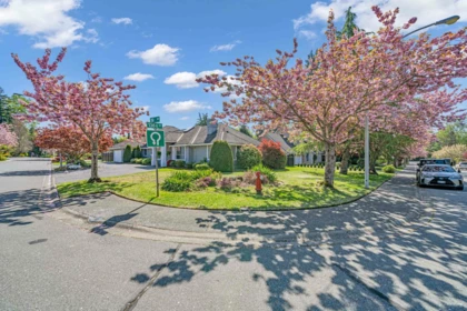 13658 19 Avenue, Surrey, BC, Surrey — Single Family Residence for sale