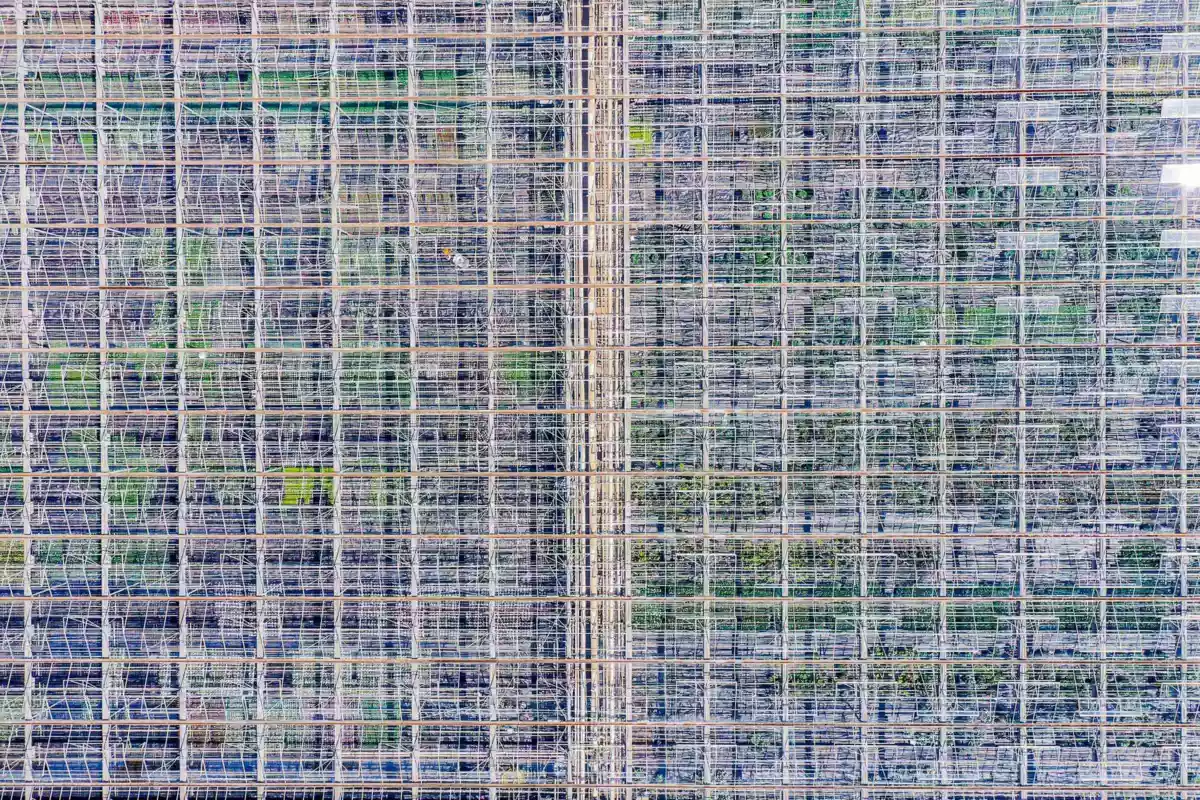 Basement Recreation Room Photo of 12336 240 Street, Maple Ridge, BC