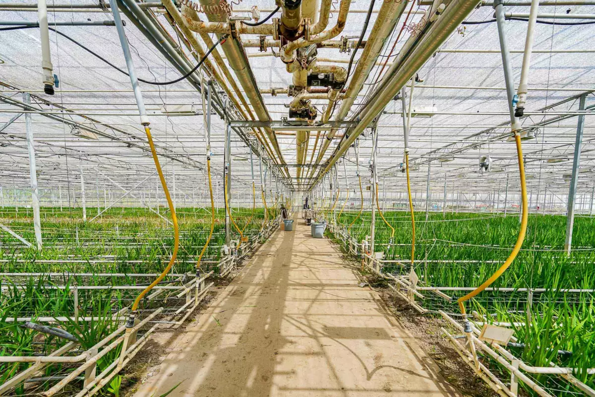 Bedroom 2 Photo of 12336 240 Street, Maple Ridge, BC