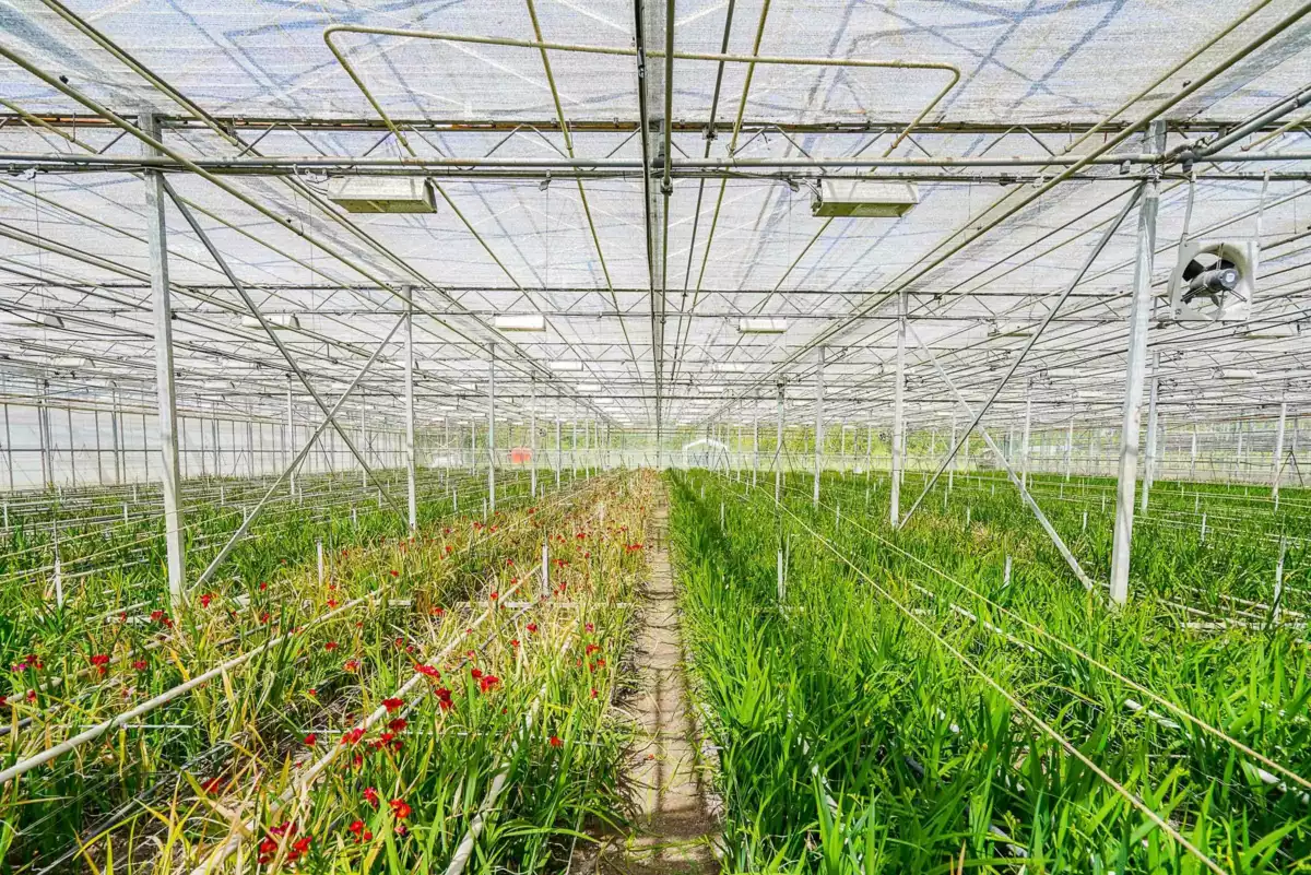 Bedroom 3 Photo of 12336 240 Street, Maple Ridge, BC