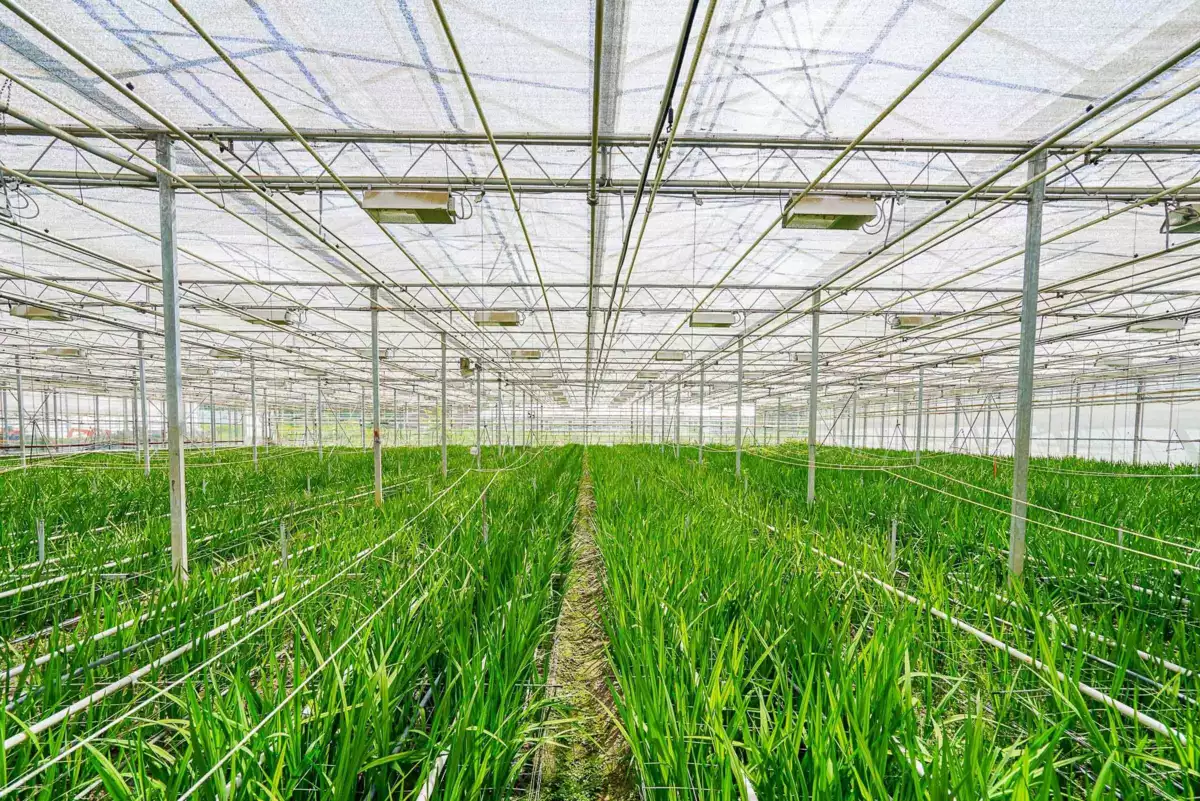 Bedroom 4 Photo of 12336 240 Street, Maple Ridge, BC