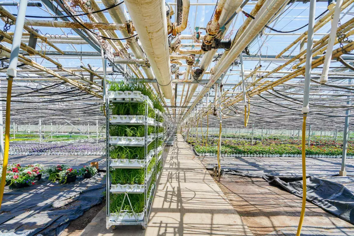 Breakfast Nook Photo of 12336 240 Street, Maple Ridge, BC