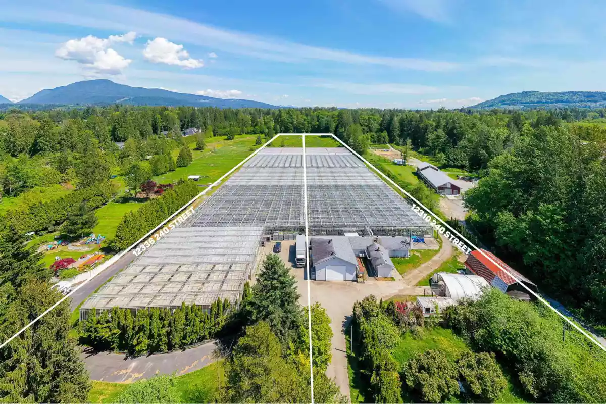 Exterior Rear Photo of 12336 240 Street, Maple Ridge, BC