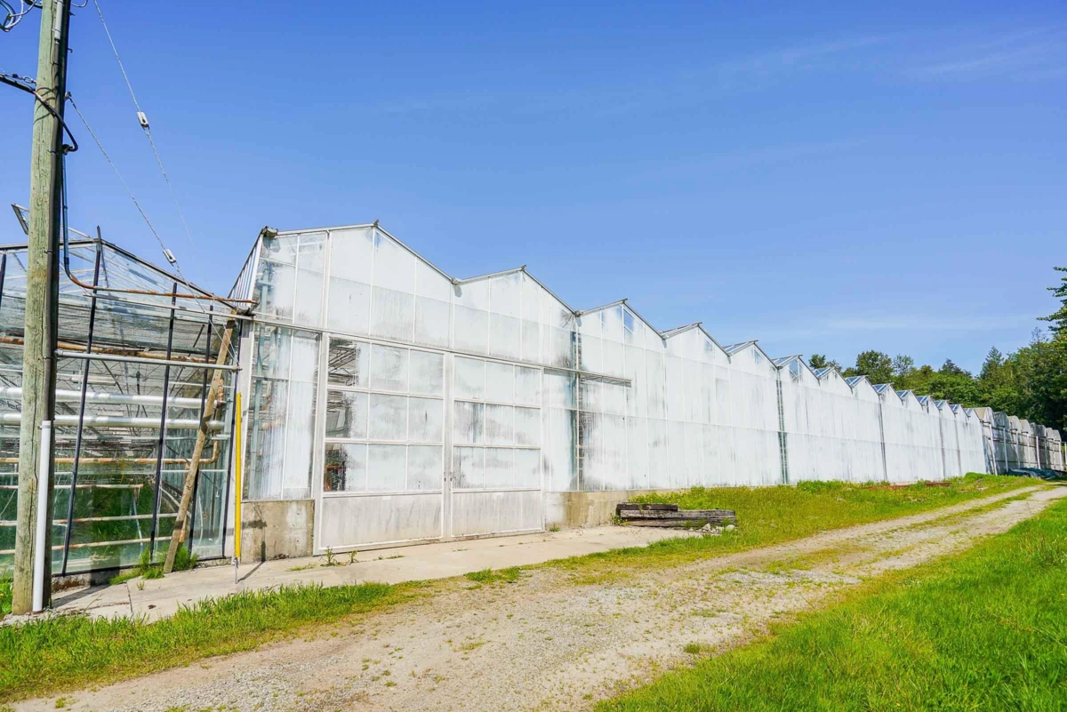 Family Room Photo of 12336 240 Street, Maple Ridge, BC