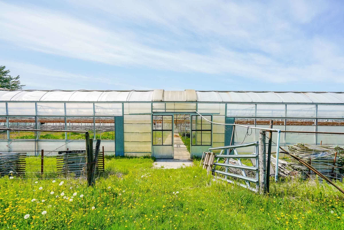 Laundry Room Photo of 12336 240 Street, Maple Ridge, BC