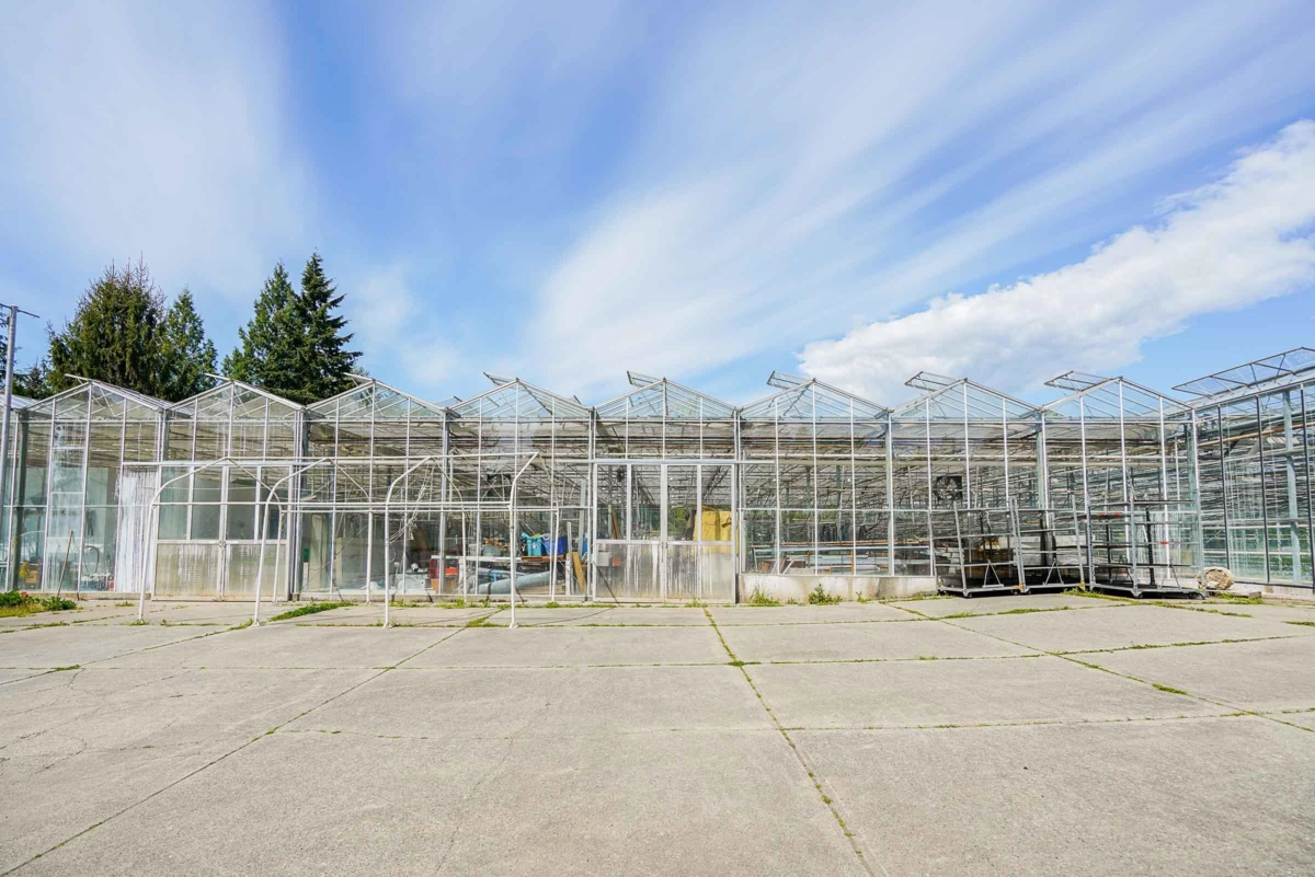 Living Room Photo of 12336 240 Street, Maple Ridge, BC