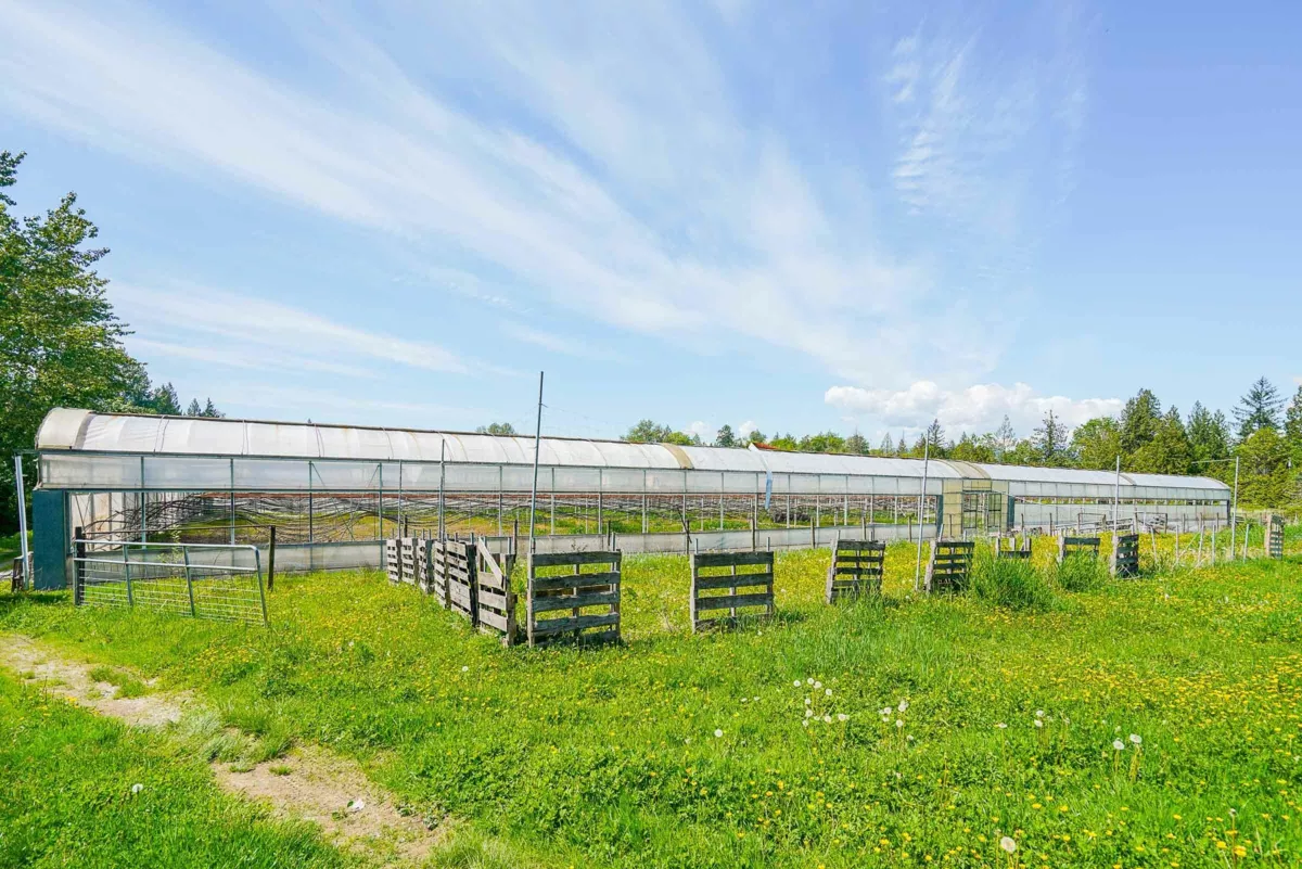 Mudroom Photo of 12336 240 Street, Maple Ridge, BC