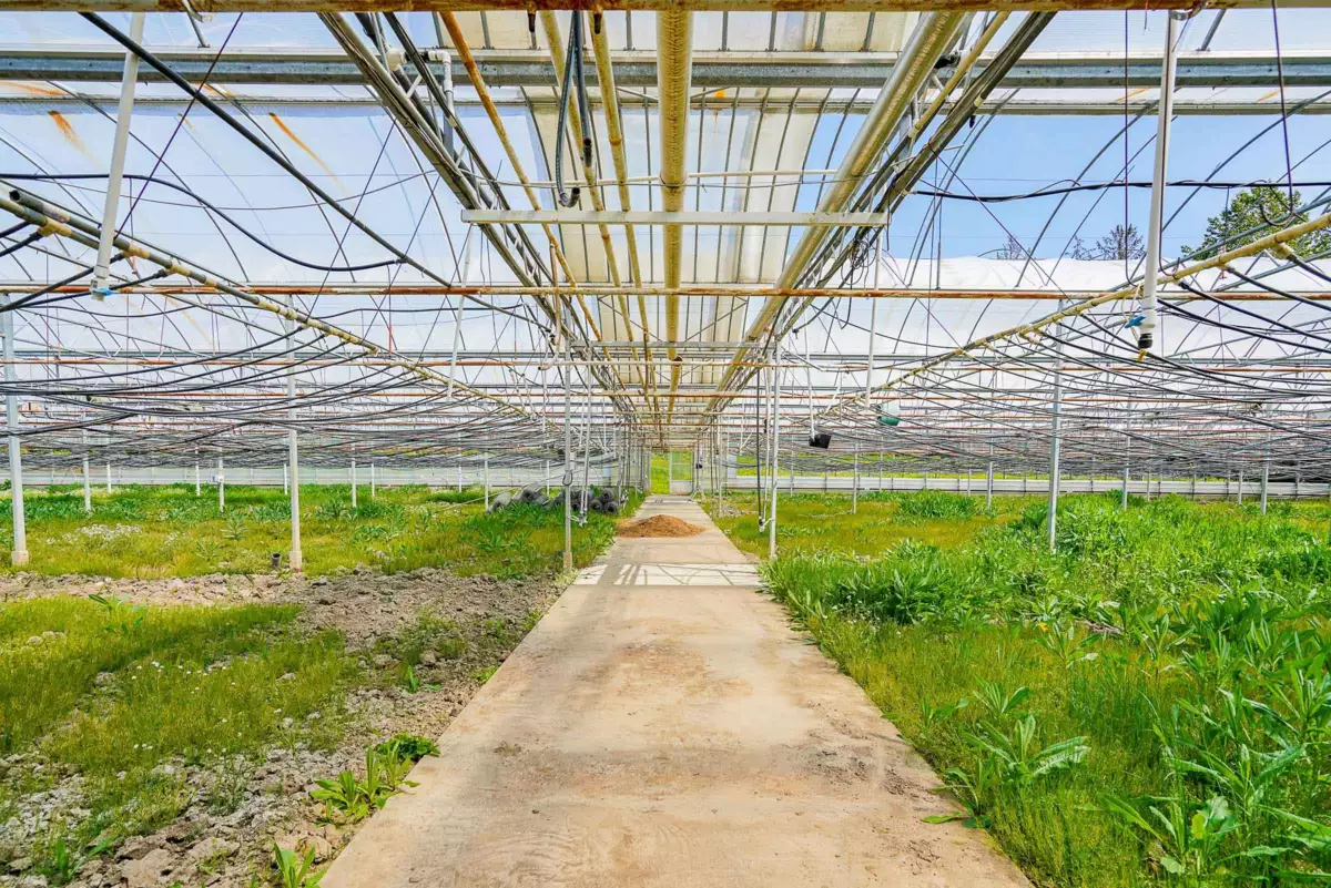 Office / Den Photo of 12336 240 Street, Maple Ridge, BC