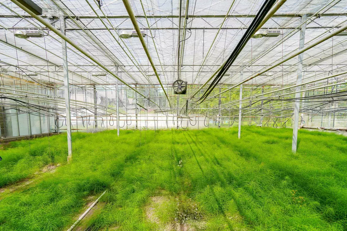 Pantry Photo of 12336 240 Street, Maple Ridge, BC