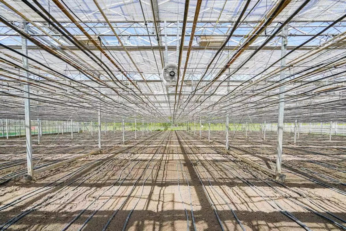Powder Room Photo of 12336 240 Street, Maple Ridge, BC