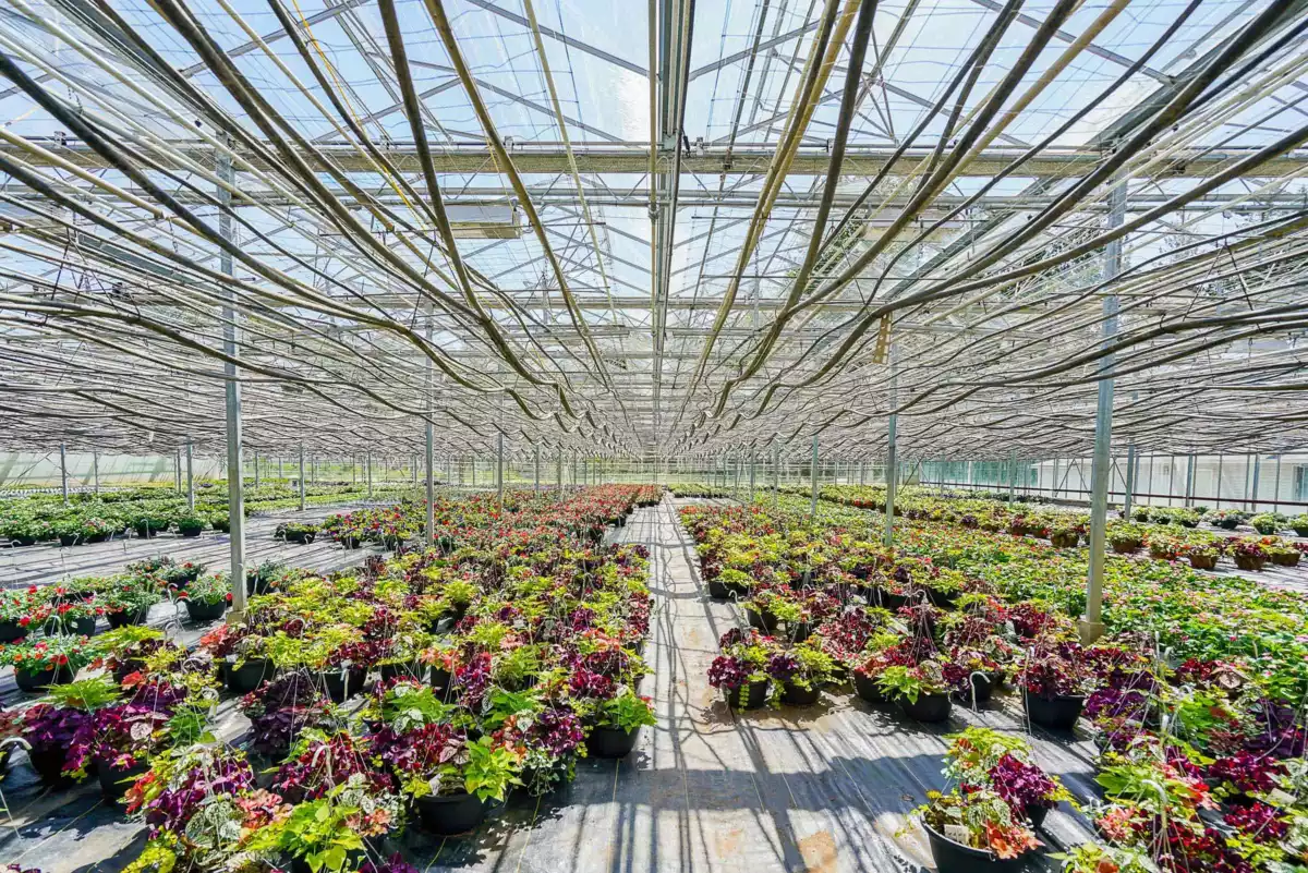 Primary Bathroom Photo of 12336 240 Street, Maple Ridge, BC
