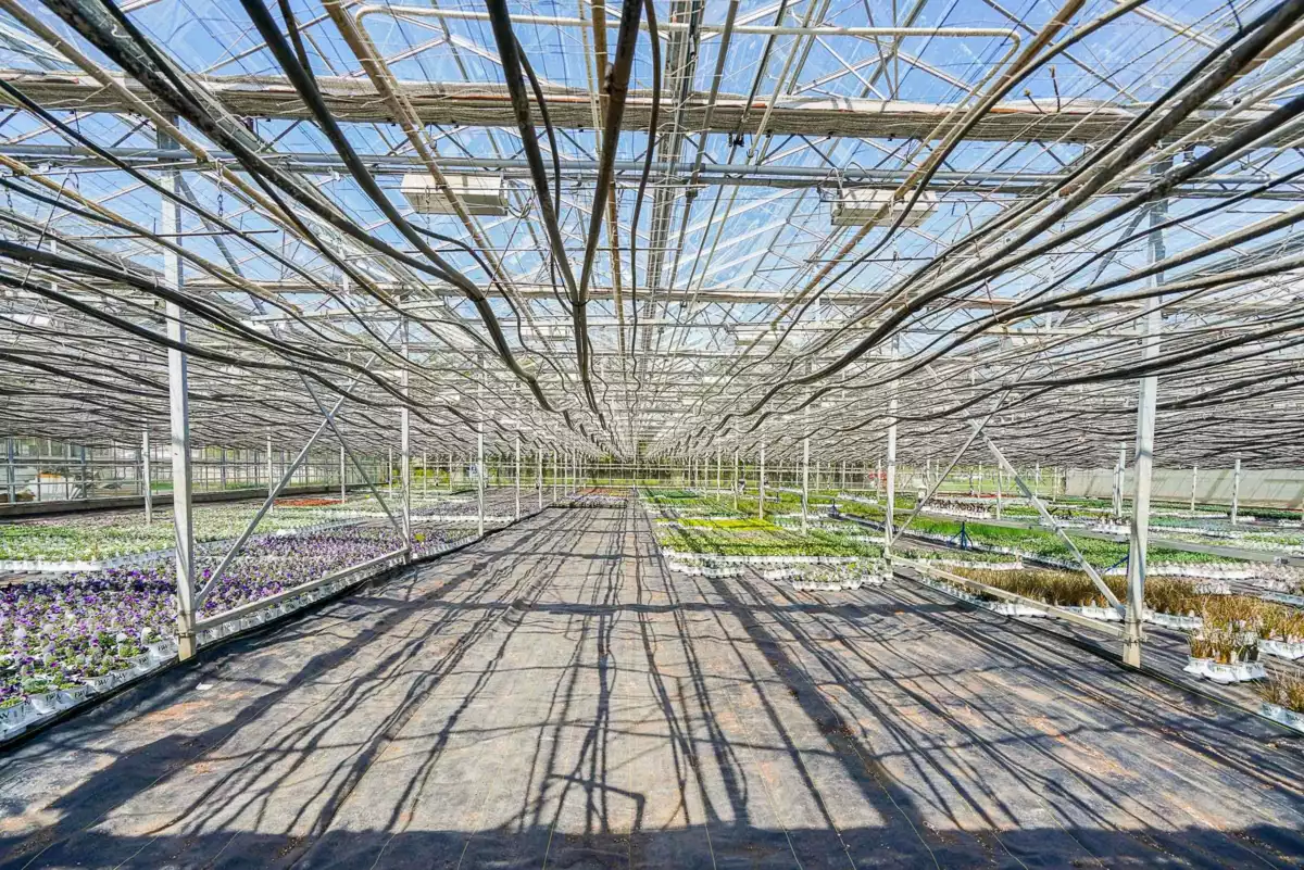 Primary Bedroom Photo of 12336 240 Street, Maple Ridge, BC