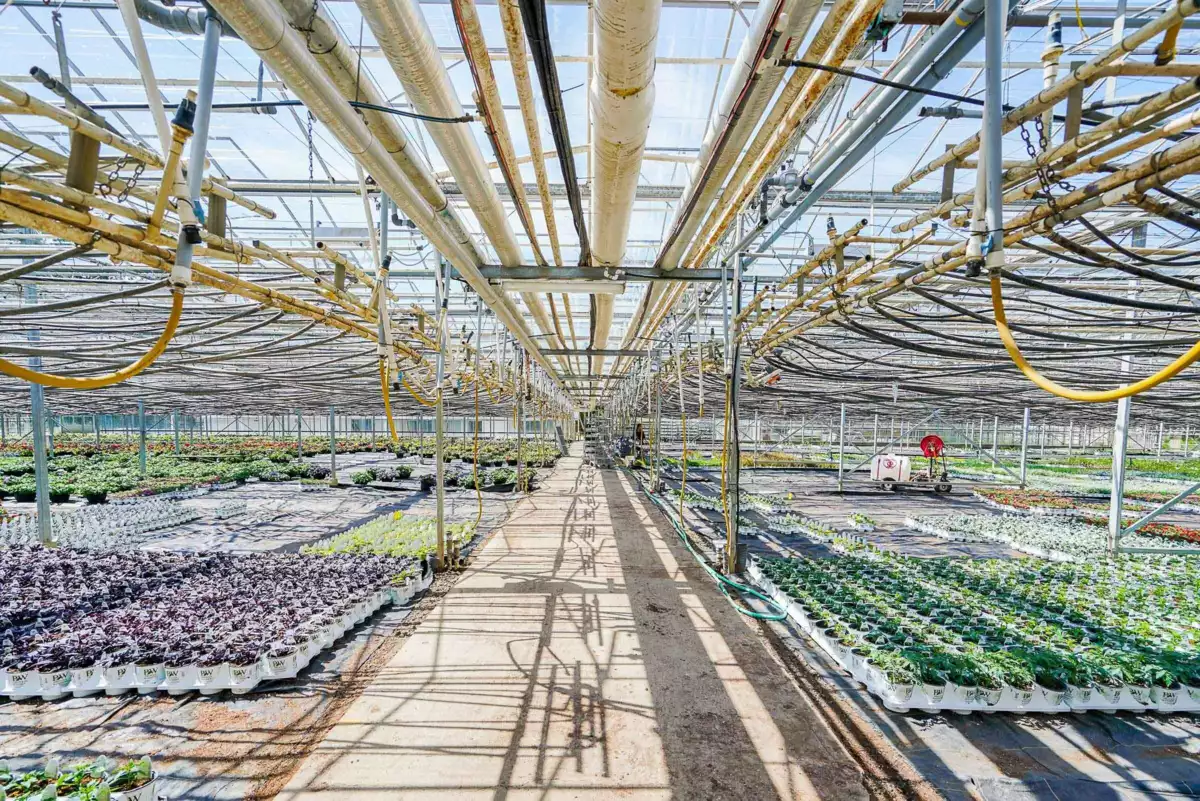 Walk-In Closet Photo of 12336 240 Street, Maple Ridge, BC