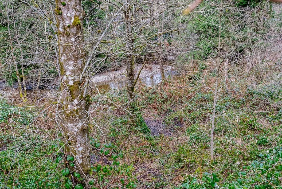 Backyard Photo of 12041 256th Street Street, Maple Ridge, BC