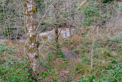 Backyard Photo of 12041 256th Street Street, Maple Ridge, BC
