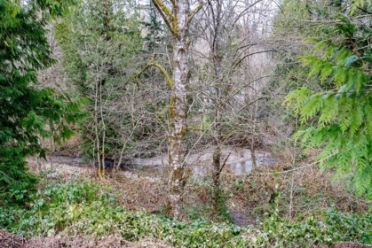 12041 256th Street Street, Maple Ridge, BC