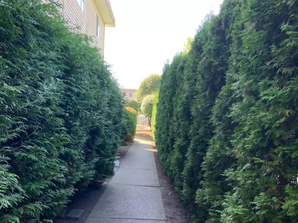 Garage Interior Photo of 325 11806 88 Avenue, Delta, BC