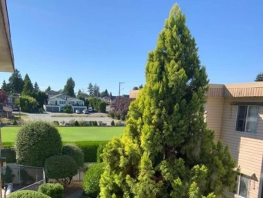 Swimming Pool Photo of 325 11806 88 Avenue, Delta, BC