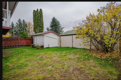 Kitchen Photo of 3237 272b Street, Langley, BC