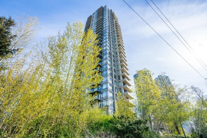 Backyard Photo of 2305 2345 Madison Avenue, Burnaby, BC