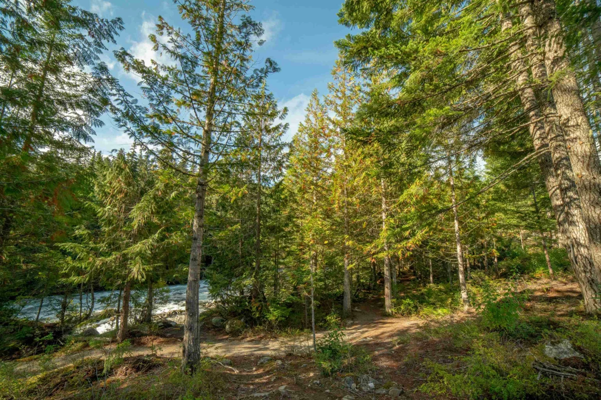 Living Room Photo of Lot 10 1726 River Run Place, Whistler, BC