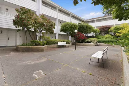 Garden / Landscaping Photo of 301 707 8th Street, New Westminster, BC