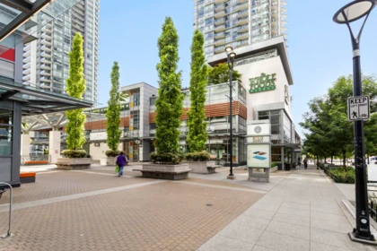 Playground / Recreational Area Near 2602 4485 Skyline Drive, Burnaby, BC