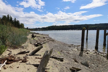 Backyard Photo of 5956 Beachgate Lane, Sechelt, BC