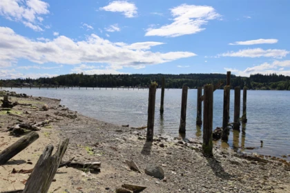 Front Yard Photo of 5956 Beachgate Lane, Sechelt, BC