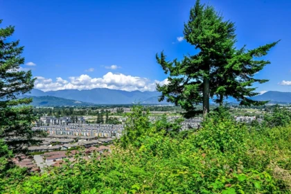 Neighborhood Park Photo Near 4598 Teskey Road, Chilliwack, BC