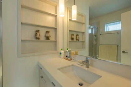 Loft / Bonus Room Photo of 57 2380 Ranger Lane, Port Coquitlam, BC