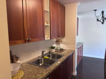 321 1850 E Southmere Crescent, Surrey, BC, Surrey — Apartment/Condo for sale