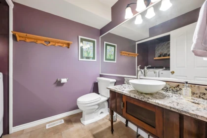 Laundry Room Photo of 60 9045 Walnut Grove Drive, Langley, BC