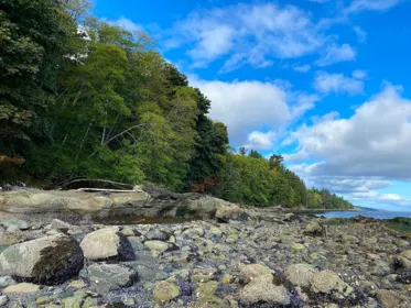 Primary Bedroom Photo of Lot 19 Dl 71 Bodega Beach Drive, Galiano Island, BC