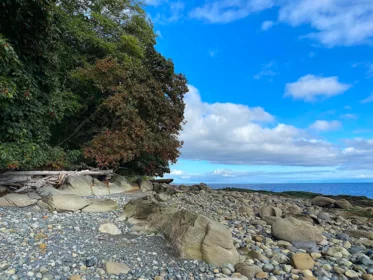 Family Room Photo of Lot 19 Dl 71 Bodega Beach Drive, Galiano Island, BC