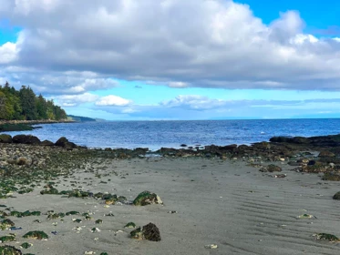 Pantry Photo of Lot 19 Dl 71 Bodega Beach Drive, Galiano Island, BC