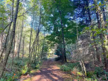 Hallway Photo of Lot 19 Dl 71 Bodega Beach Drive, Galiano Island, BC