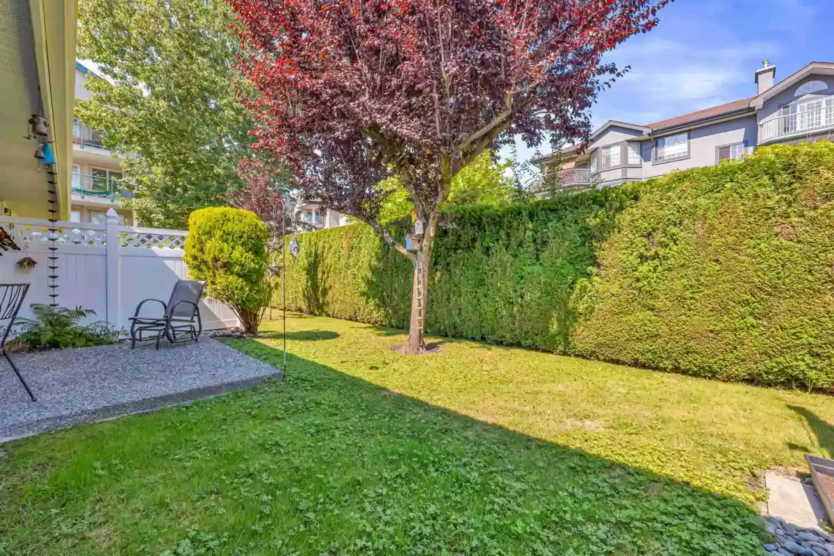 Basement Recreation Room Photo of 11 5365 205 Street, Langley, BC