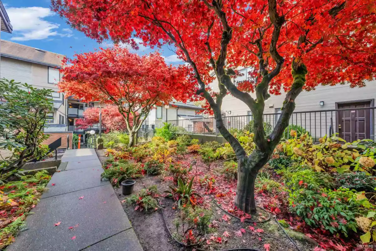 Hallway Photo of 410 1363 Clyde Avenue, West Vancouver, BC