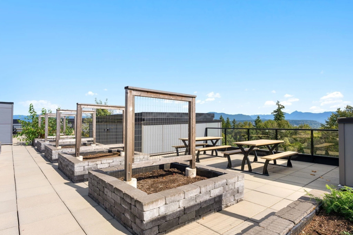 Basement Recreation Room Photo of 418 11077 Ravine Road, Surrey, BC