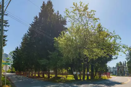 13003 Old Yale Road, Surrey, BC, Whalley —  bed land for sale